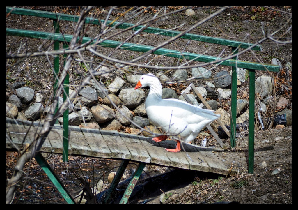 Step In The Right&nbsp;Direction