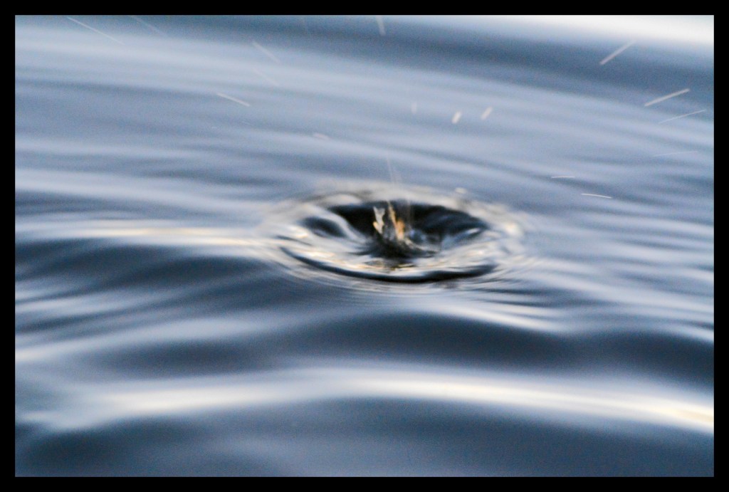 Cold Spring Morning On The&nbsp;Lake