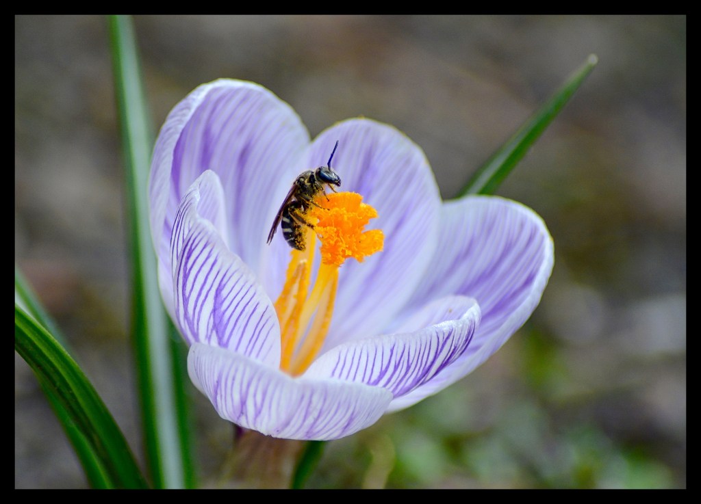 Seen And Heard Over The&nbsp;Weekend