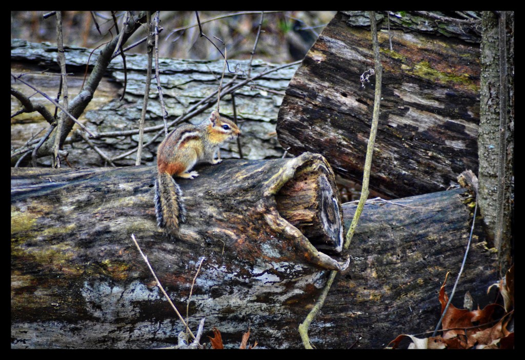 Breathing In The Spring&nbsp;Air