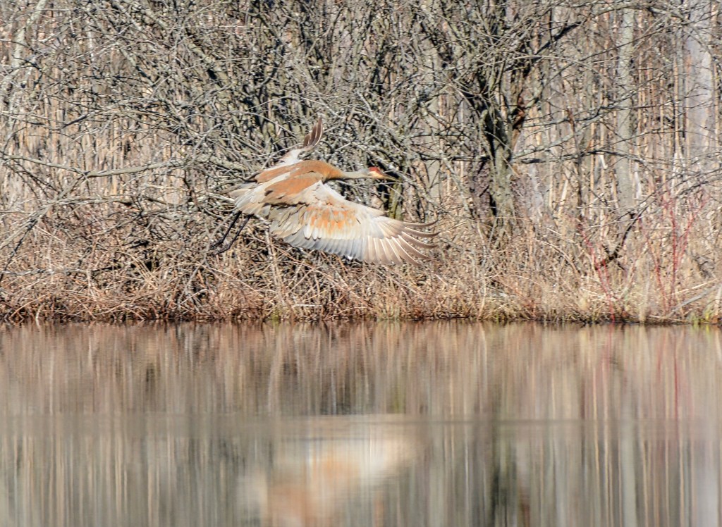 Seen From The&nbsp;Trail