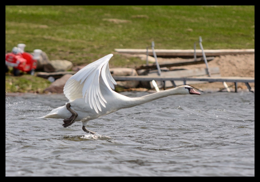 Musings While Kayaking On A Windy&nbsp;Day