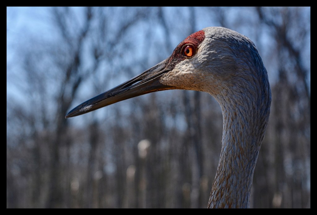 Making Friends On The&nbsp;Trail
