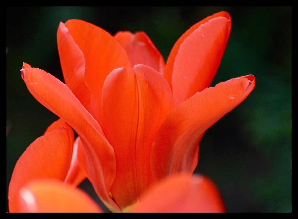 Some Days There’s A Surprise Around Every&nbsp;Corner