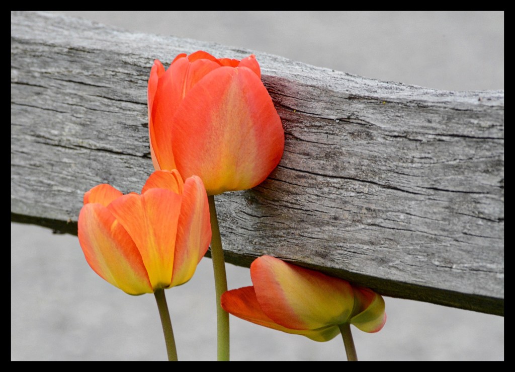 The Week In Seven&nbsp;Photos