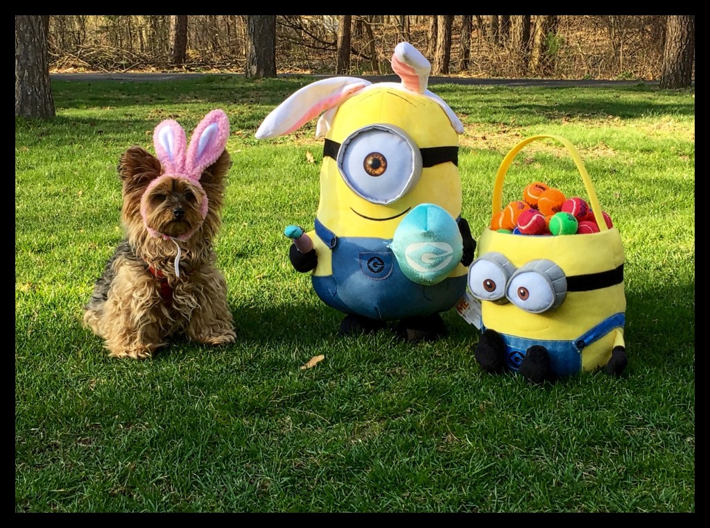 Happy Easter!!