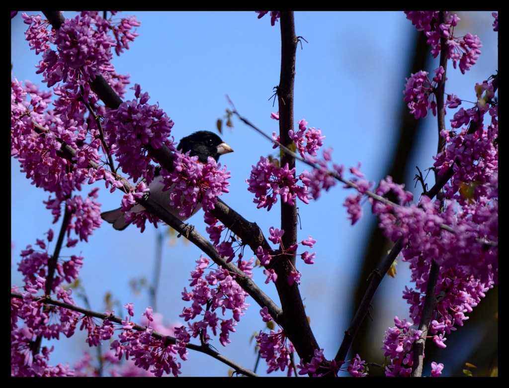 Looking Good In&nbsp;Purple