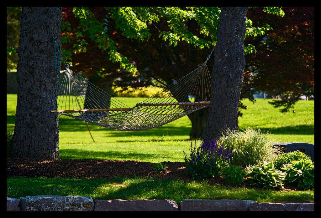 A License To&nbsp;Chill