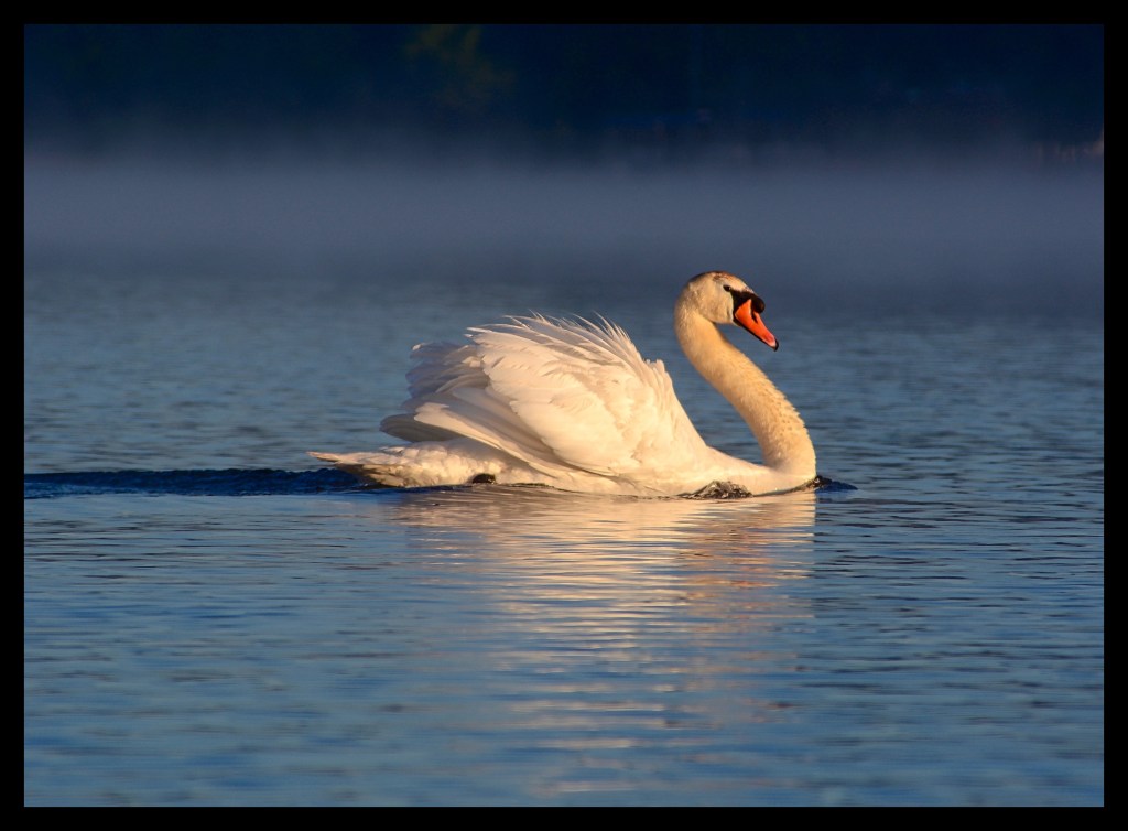 Bad, Bad Leroy&nbsp;Brown