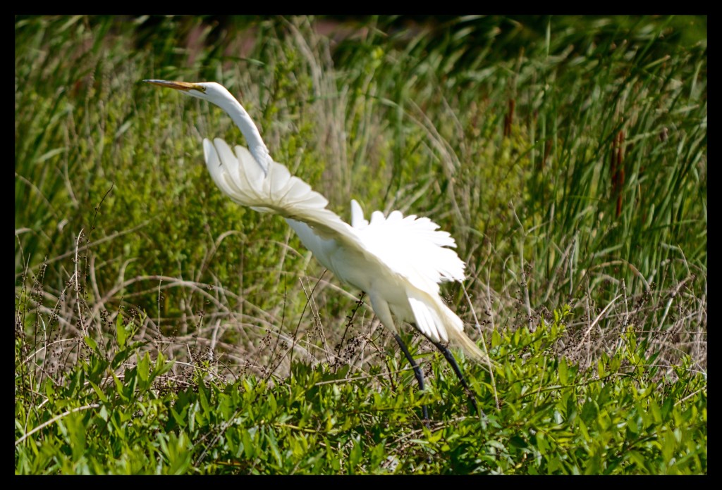 Shut Up And&nbsp;Dance
