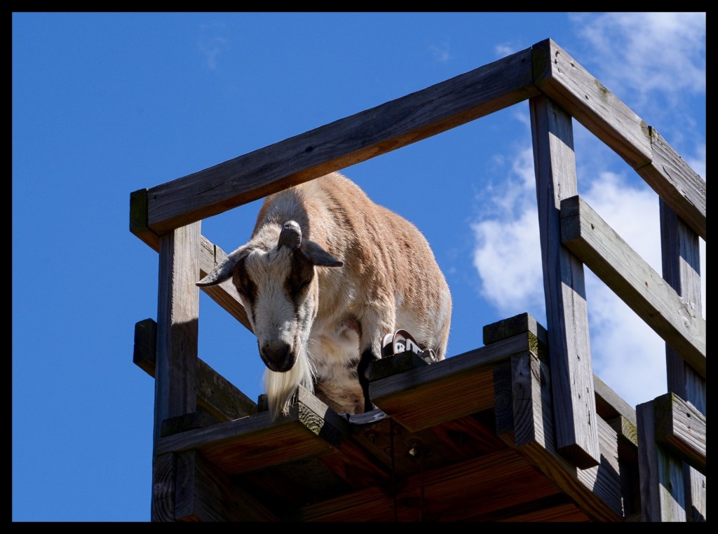 Livin’ On The&nbsp;Edge