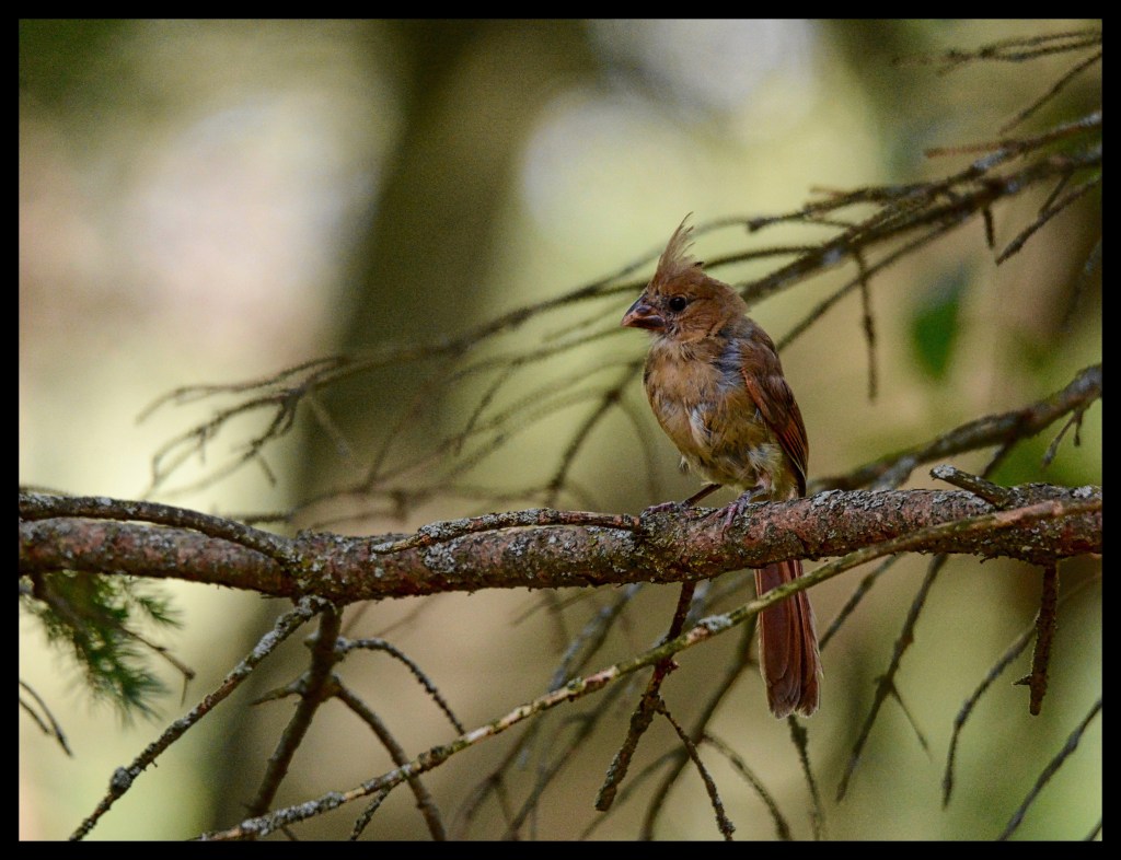 The Week In Seven&nbsp;Photos