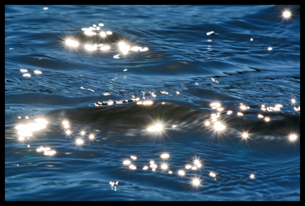 One Particular Harbour