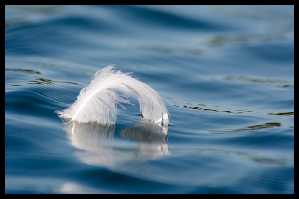 The Week In Seven&nbsp;Photos