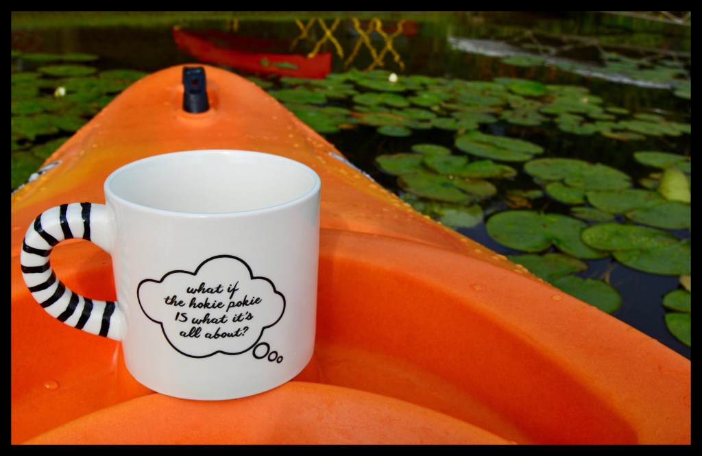 What If The Hokie Pokie Is What It’s All&nbsp;About?