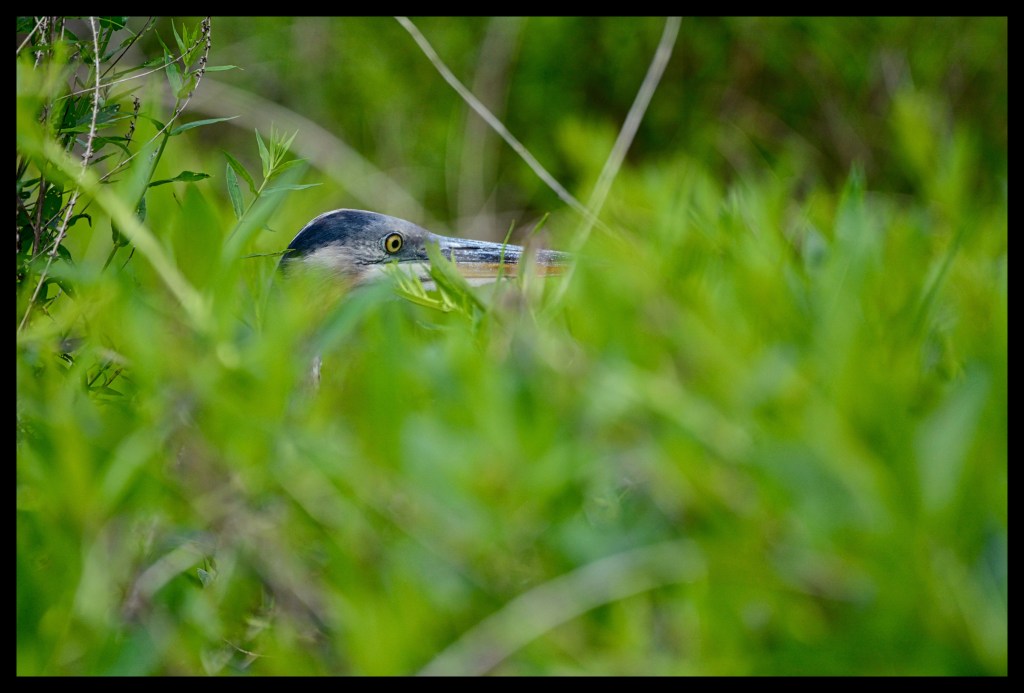 I’ll Be Watching&nbsp;You