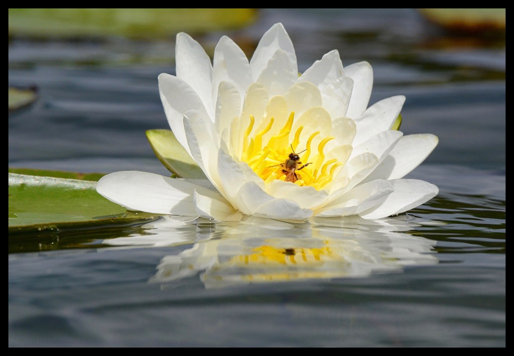 Got My Mind Set On&nbsp;You