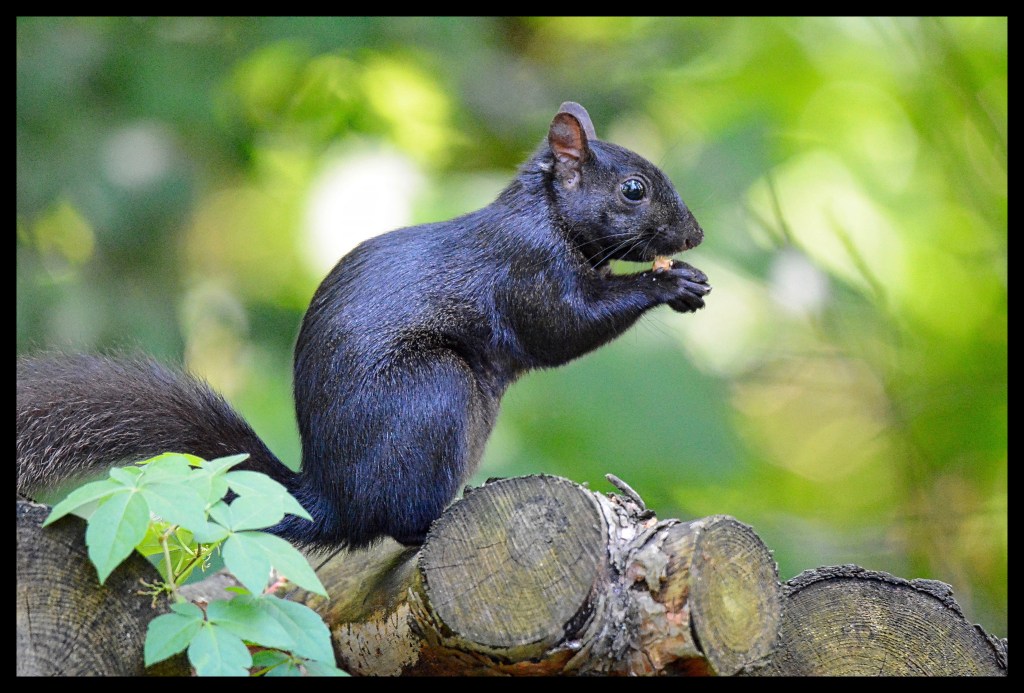 A New Year’s Resolution Finally&nbsp;Achieved