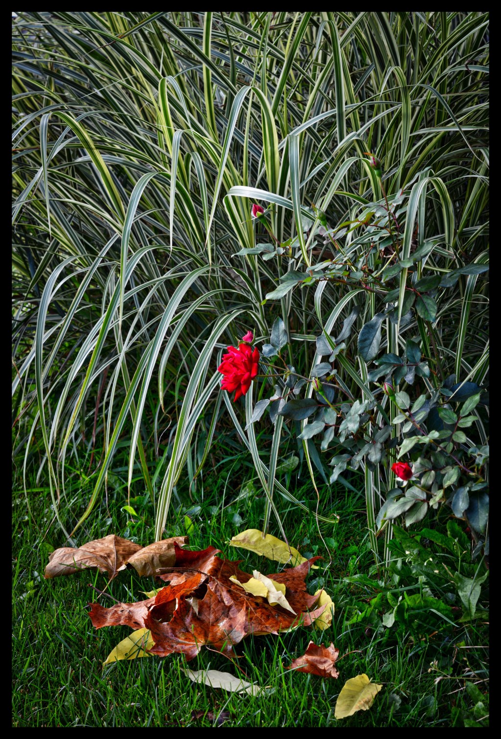 An Early Peek At&nbsp;Autumn