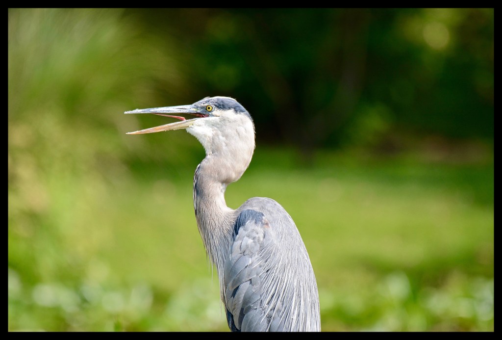 The Week In Seven&nbsp;Photos