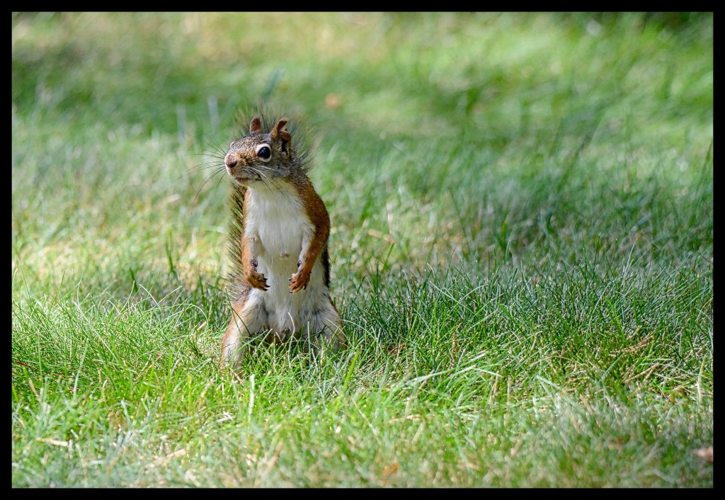 Dancing In September