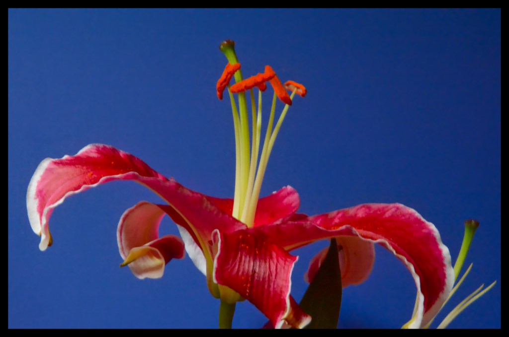 The Week In Seven&nbsp;Photos