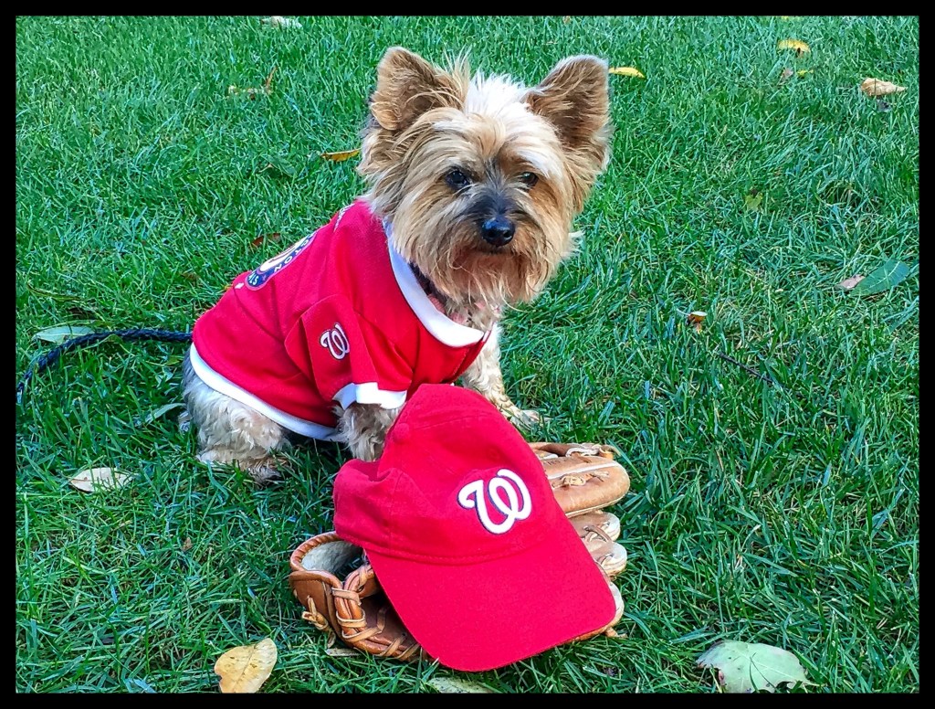 The Week In Seven&nbsp;Photos