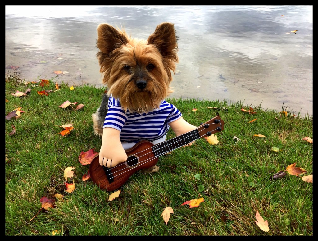 The Scene Was&nbsp;Rockin’