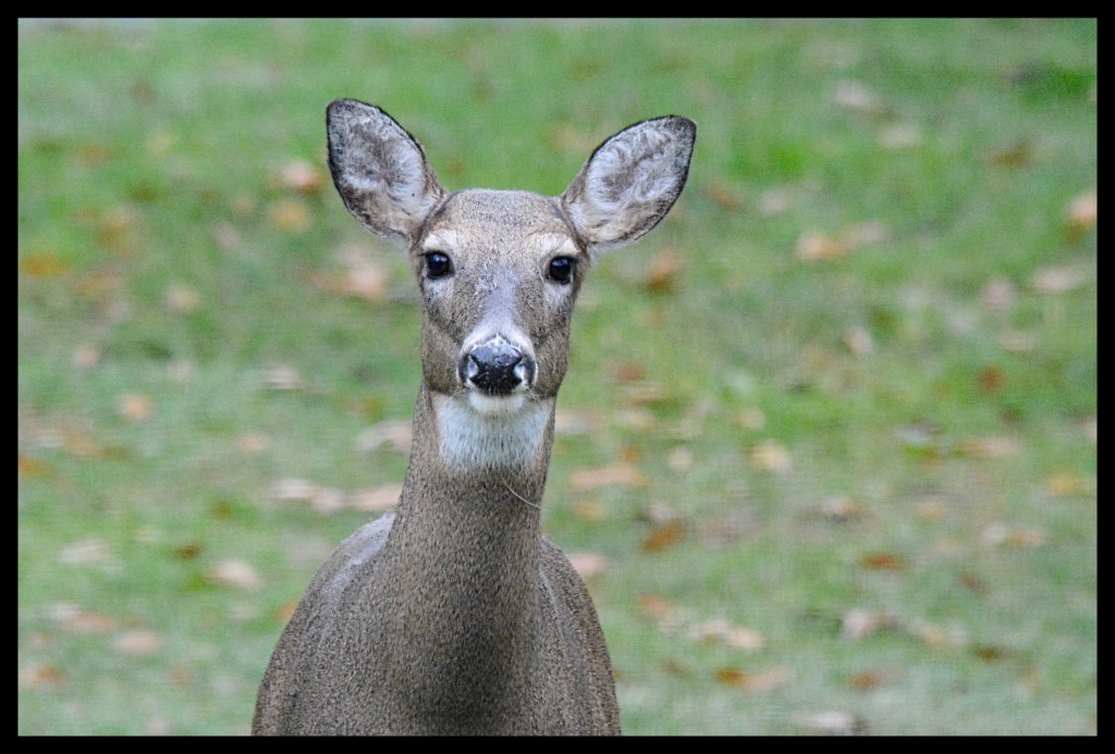 The Week In Seven&nbsp;Photos