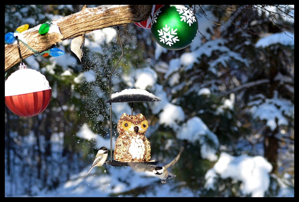 The Week In Seven Photos