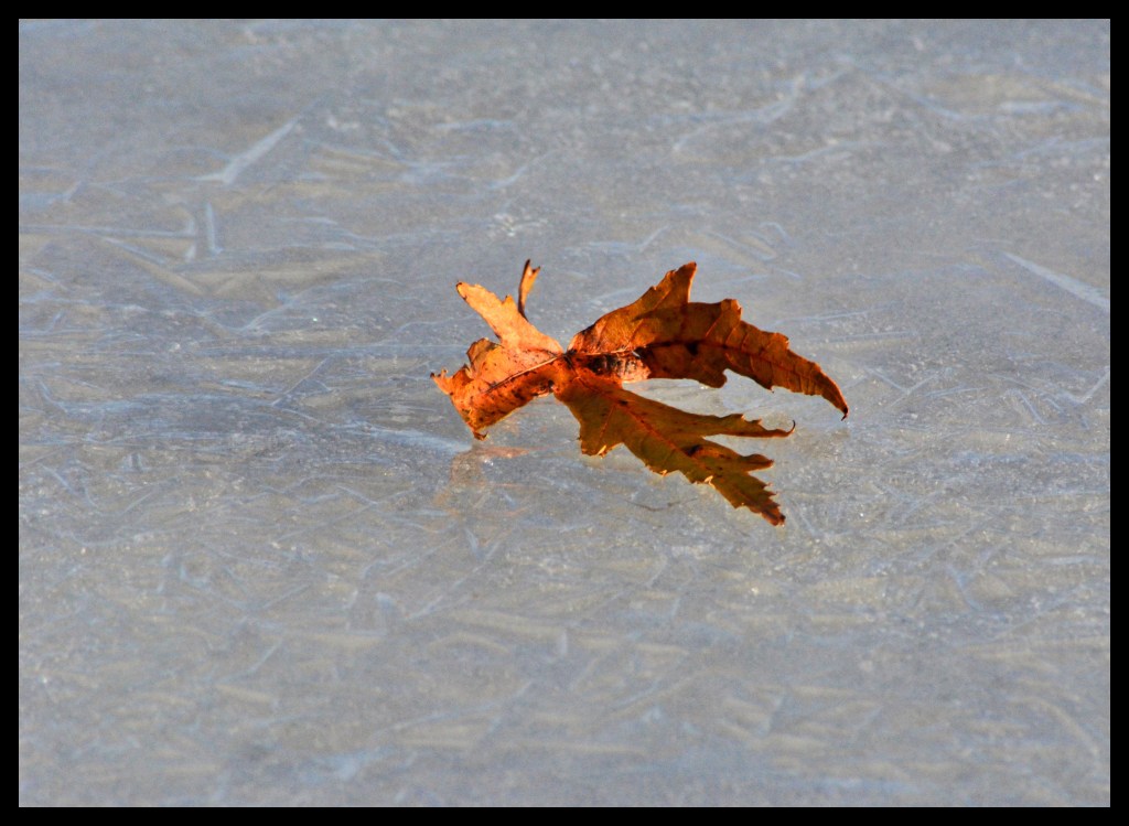 The Week In Seven&nbsp;Photos