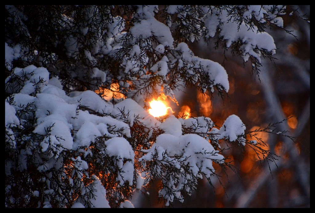 Golden – Six Word&nbsp;Story