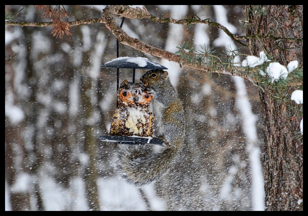 Nibble – Six Word&nbsp;Story