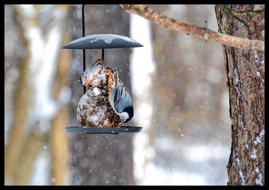 Happy New Year And Bottoms&nbsp;Up!