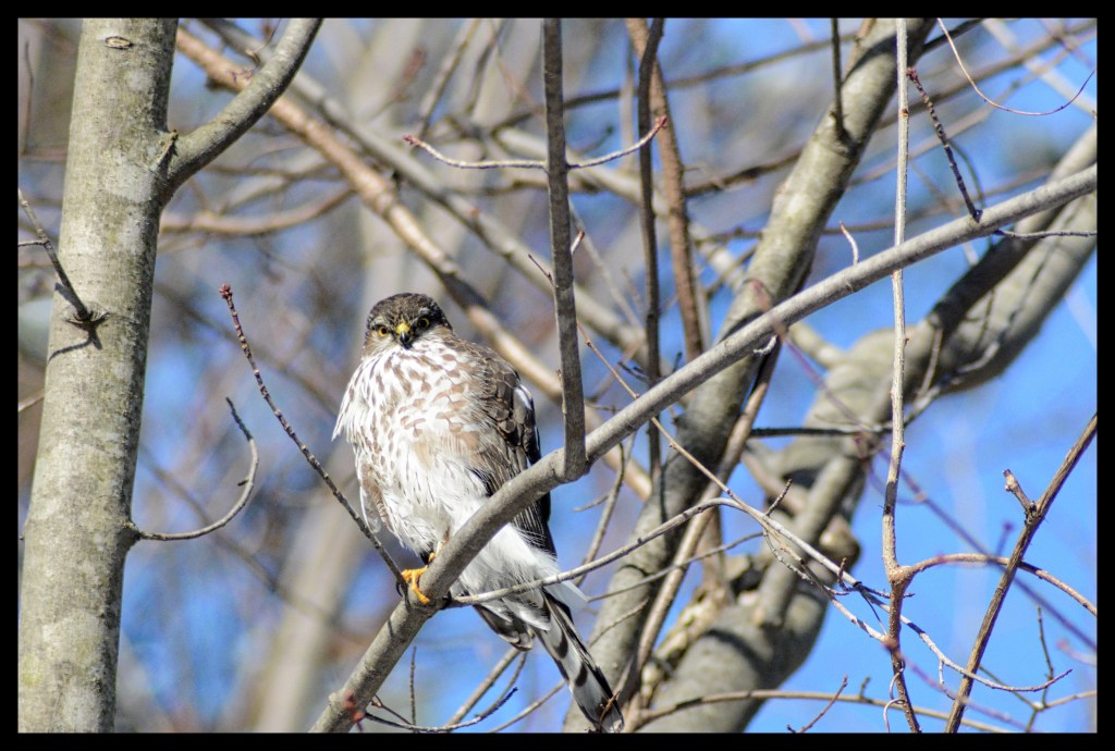 The Week In Seven&nbsp;Photos