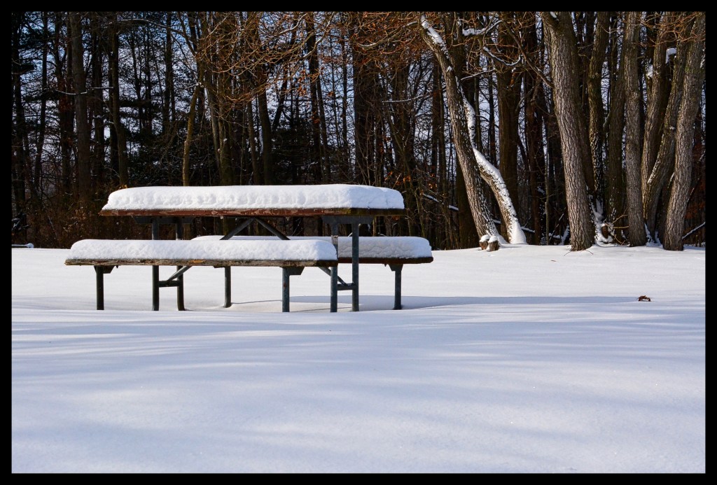 Anyone Fancy A&nbsp;Picnic?