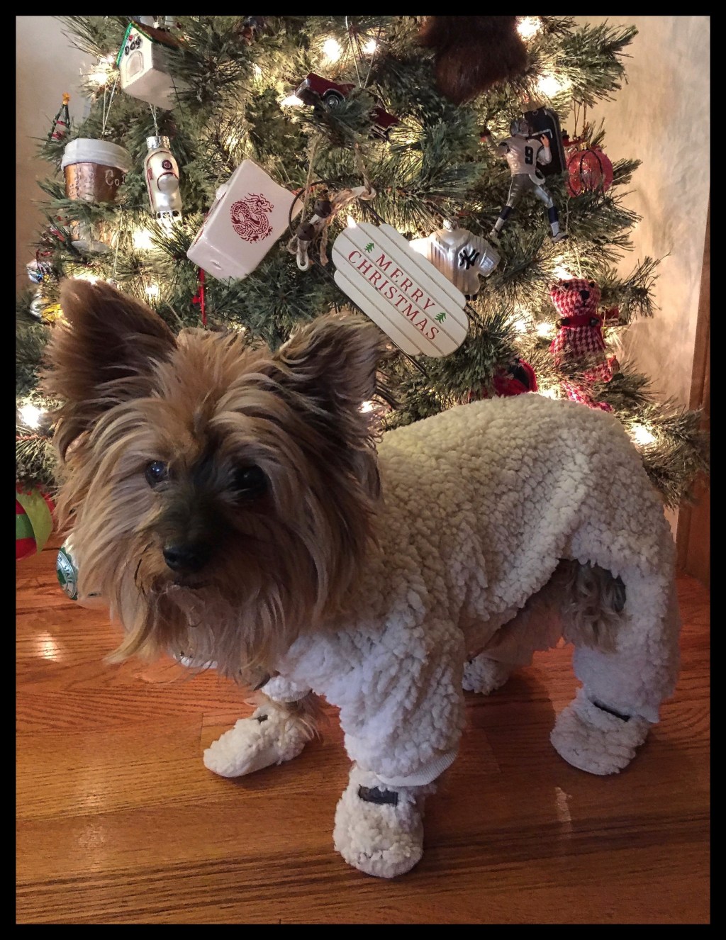 The Week In Seven&nbsp;Photos