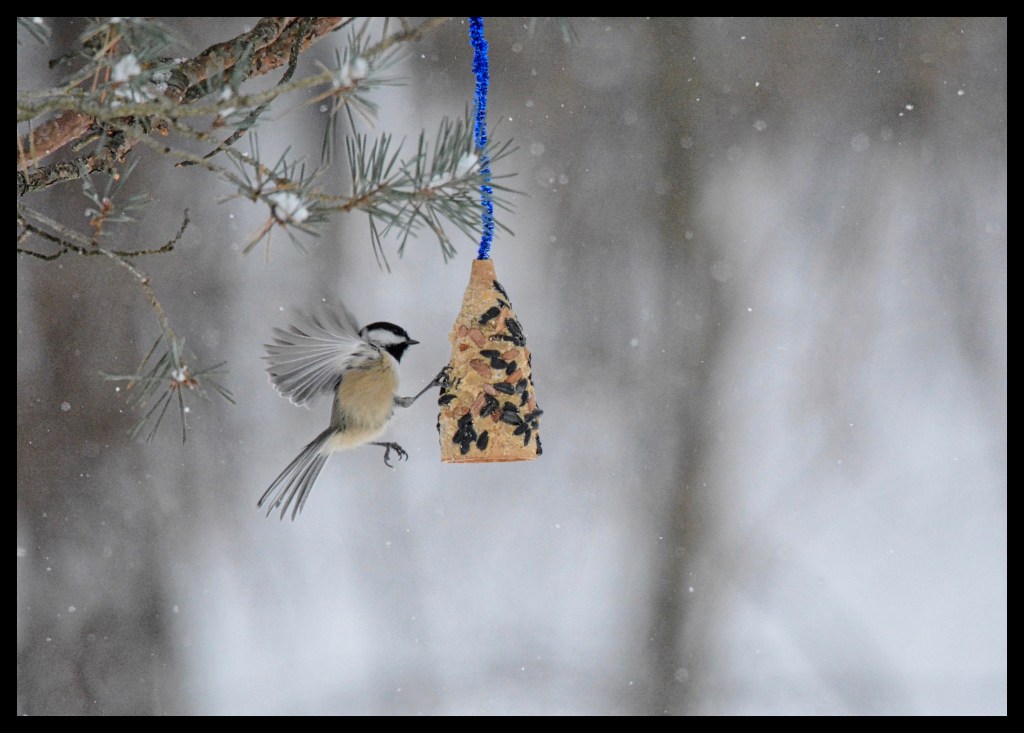 The Week In Seven&nbsp;Photos