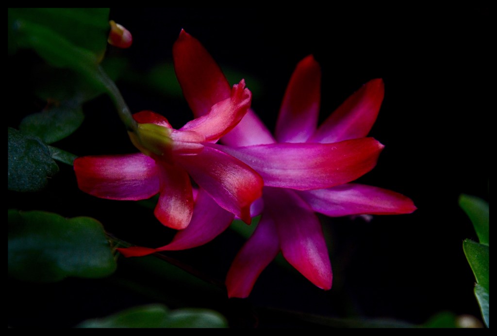 The Week In Seven&nbsp;Photos