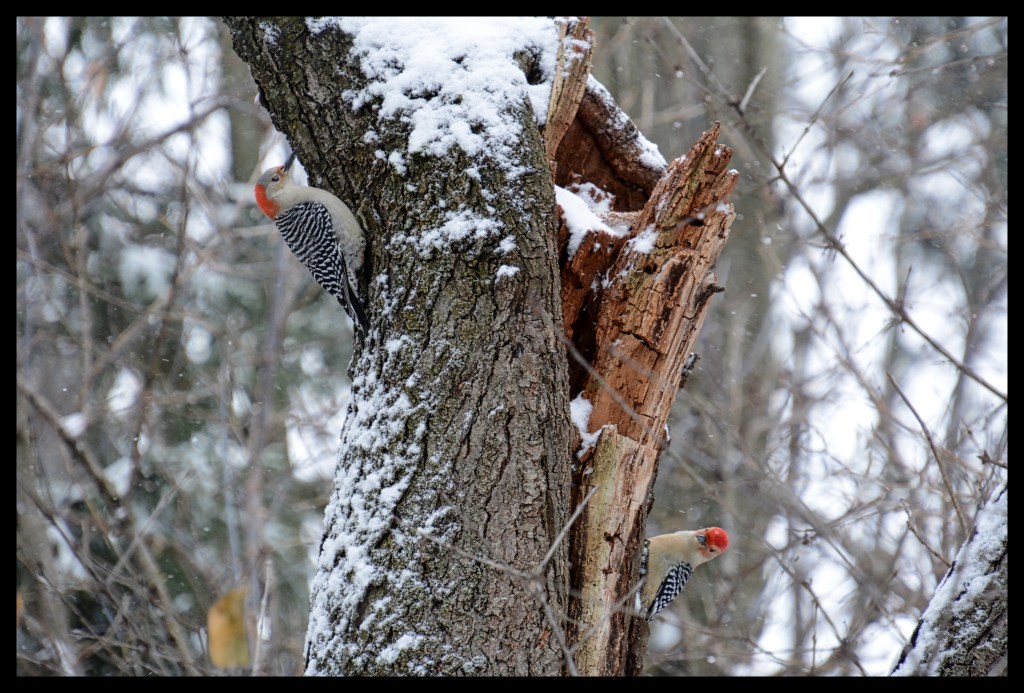 Had To Hit The Pause&nbsp;Button