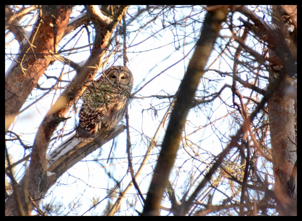 I’m So Excited, And I Just Can’t Hide&nbsp;It