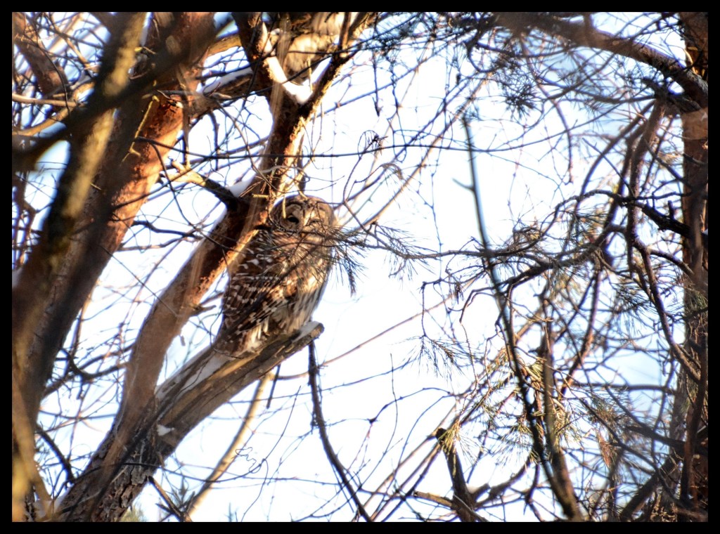 The Week In Seven&nbsp;Photos