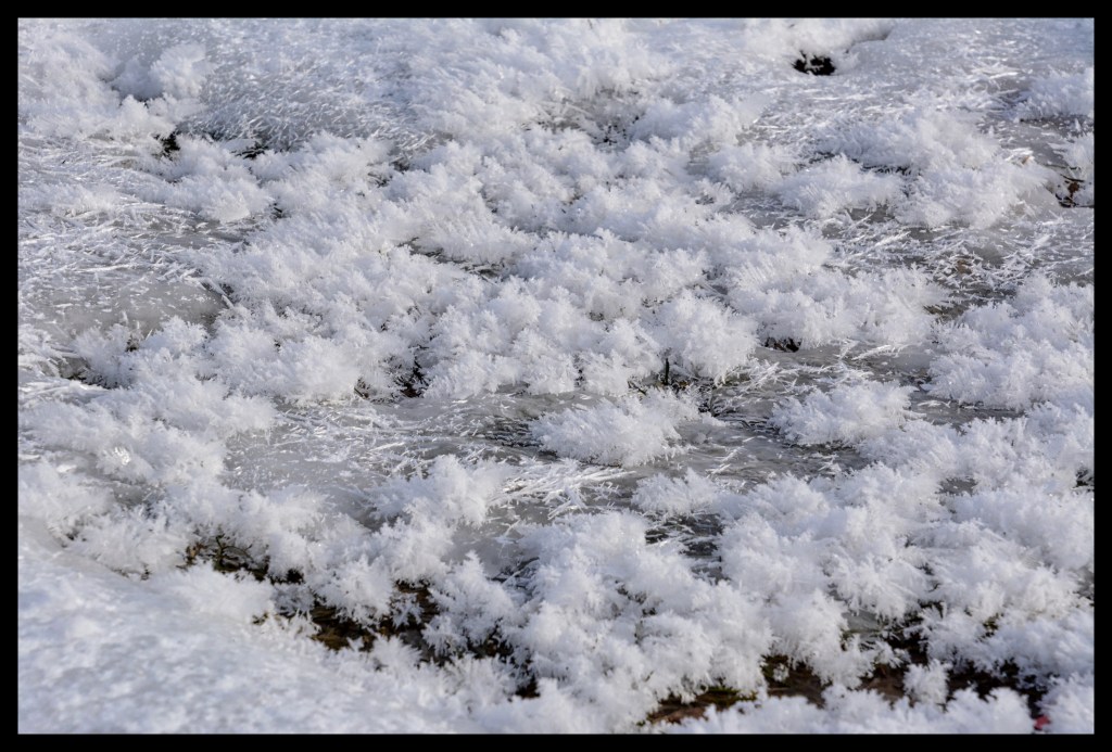 Definitely Not Hoodie&nbsp;Weather!