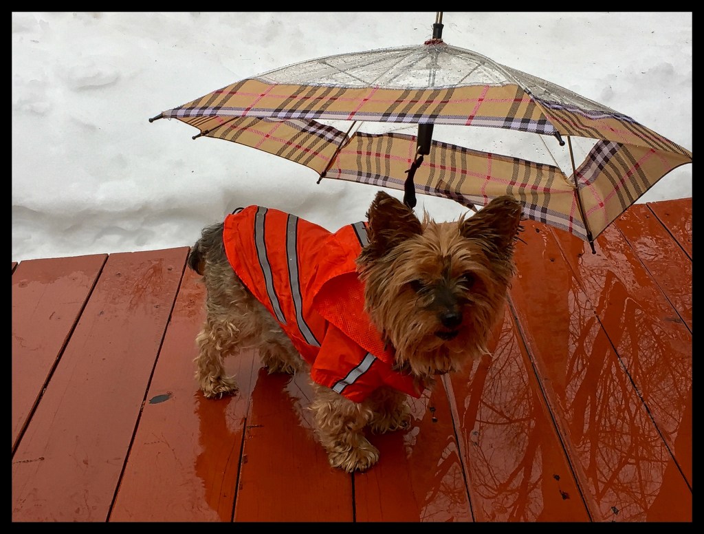 Just Singin’ In The&nbsp;Rain