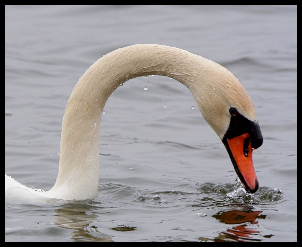 The Week In One&nbsp;Photo