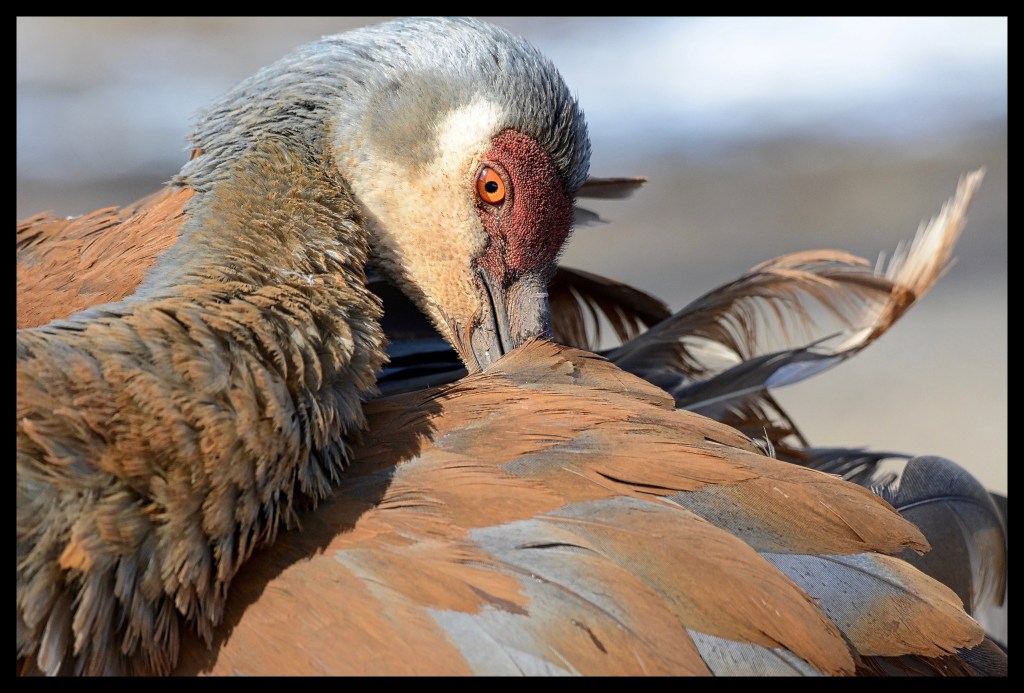 The Week In Seven&nbsp;Photos