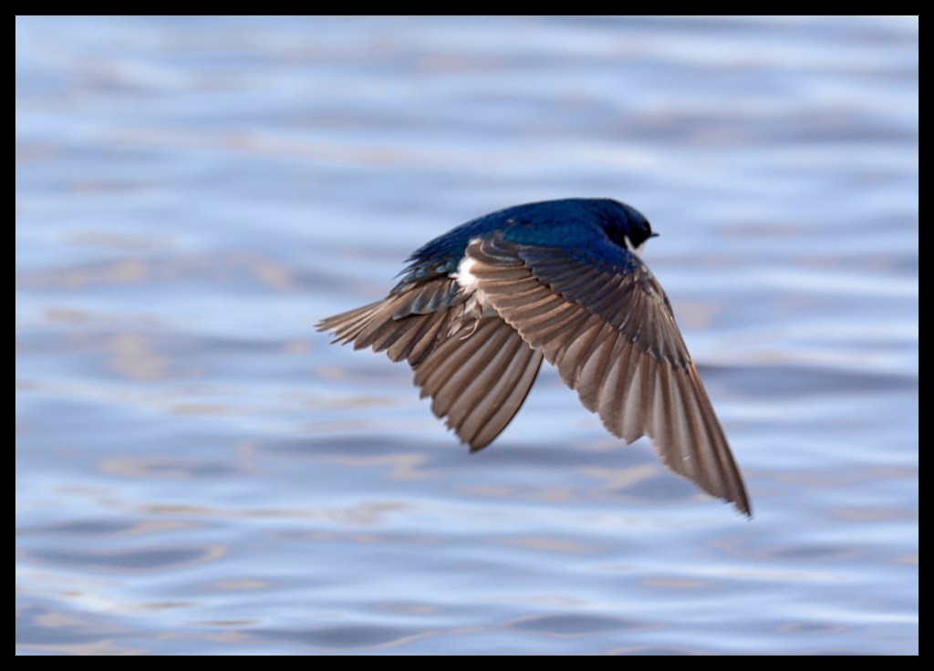 Another Day In The&nbsp;Park