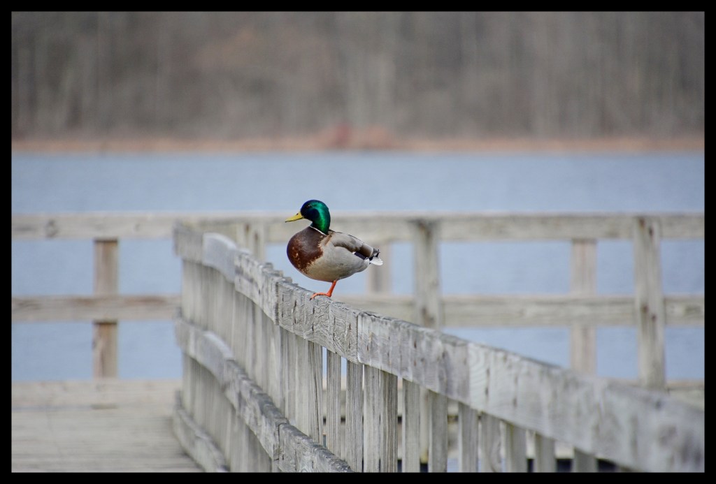 The Week In Seven&nbsp;Photos