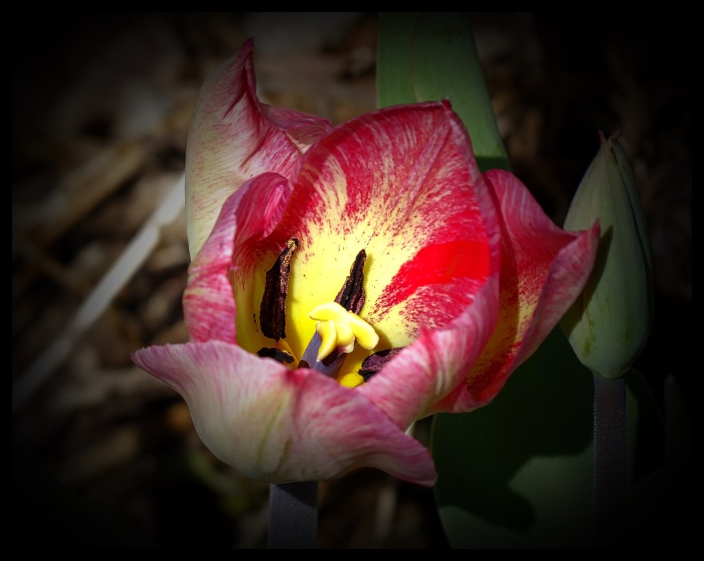 There Are So Many Quiet&nbsp;Places