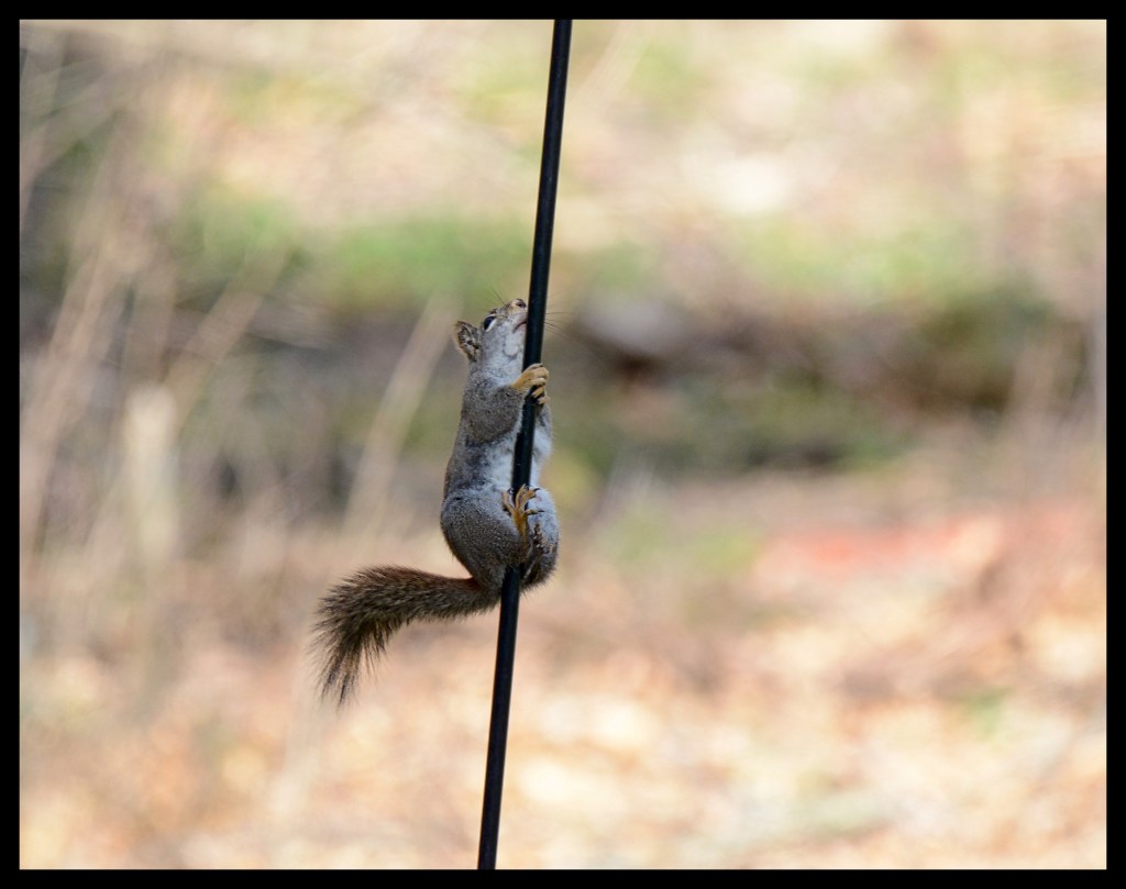 Too Much Time On My&nbsp;Hands